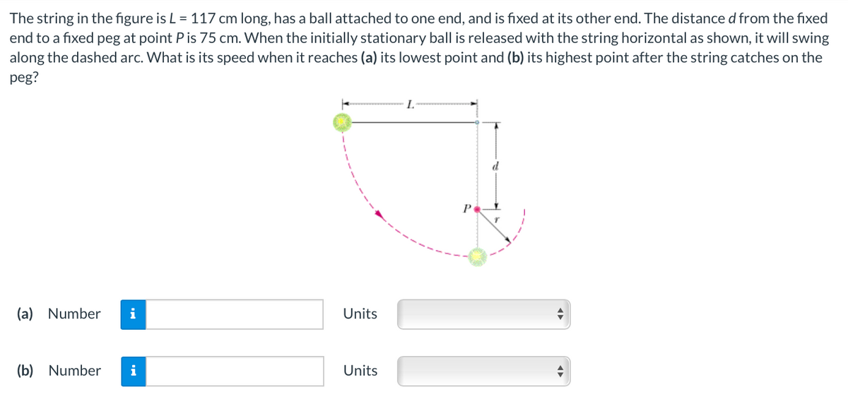 The string in the figure is L = 117 cm long, has a ball attached to one end, and is fixed at its other end. The distance d from the fixed
end to a fixed peg at point Pis 75 cm. When the initially stationary ball is released with the string horizontal as shown, it will swing
along the dashed arc. What is its speed when it reaches (a) its lowest point and (b) its highest point after the string catches on the
peg?
L.
P
(a) Number
i
Units
(b) Number
i
Units
