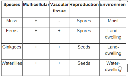 Species Multicellular Vascular Reproduction Environmen
tissue
Moss
Spores
Moist
Ferns
Spores
Land-
dwelling
Ginkgoes
Seeds
Land-
dwelling
Waterlilies
Seeds
Water-
dwelling
|
+
+
+
+
+
+
+
