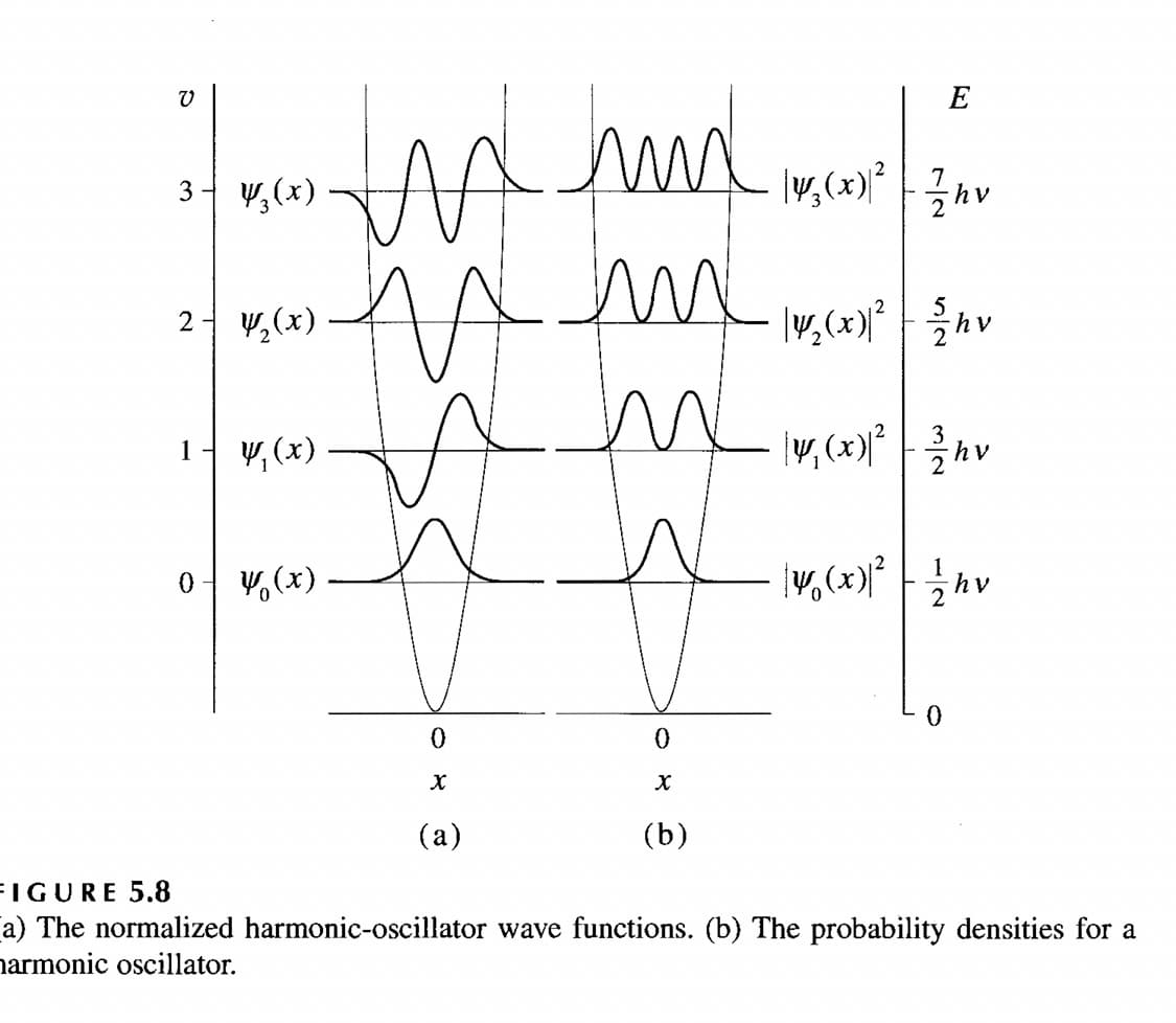 V
3
2
1
0
¥₂(x)
Y⁄₂(x)
лих
лами
N
Y₁ (x)
y (x)
0
X
(a)
0
X
(b)
E
|Y3(x)|²
\,(x)? | thv
l() an
|¥(x)|²
0
hv
FIGURE 5.8
a) The normalized harmonic-oscillator wave functions. (b) The probability densities for a
harmonic oscillator.