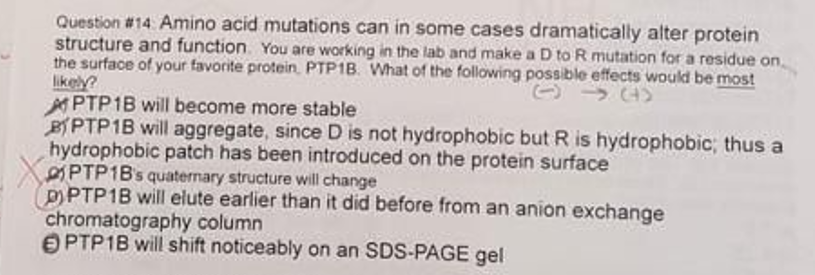 Question #14 Amino acid mutations can in some cases dramatically alter protein
structure and function. You are working in the lab and make a D to R mutation for a residue on.
the surface of your favorite protein. PTP1B. What of the following possible effects would be most
likely?
APTP1B will become more stable
BPTP1B will aggregate, since D is not hydrophobic but R is hydrophobic; thus a
hydrophobic patch has been introduced on the protein surface
PTP1BS quaternary structure will change
D)PTP1B will elute earlier than it did before from an anion exchange
chromatography column
OPTP1B will shift noticeably on an SDS-PAGE gel
> 4)
