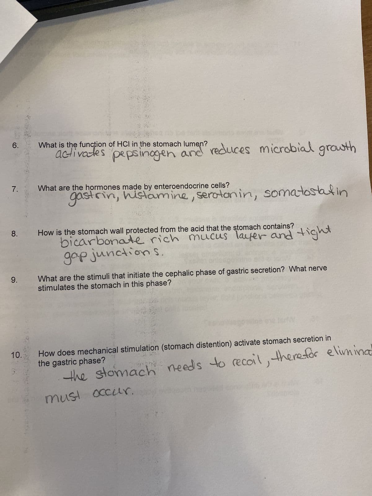 9.
What is the funcțion of HCI in the stomach lumen?
activates
6.
pepsinagen ane
reduces microbial growth
7.
What are the hormones made by enteroendocrine cells?
gastrin, histamine, serotanin, somatostain
How is the stomach wall protected from the acid that the stomach contains?
puno
bicarbonate rich mucus lafer and tight
8.
What are the stimuli that initiate the cephalic phase of gastric secretion? What nerve
stimulates the stomach in this phase?
How does mechanical stimulation (stomach distention) activate stomach secretion in
the gastric phase?
10.
the stomach needs to recoil, therefor eliminad
