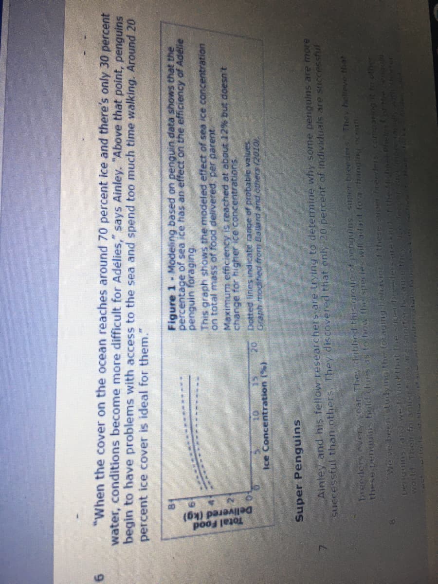 Total Food
Delivered (kg)
"When the cover on the ocean reaches around 70 percent ice and there's only 30 percent
water, conditions become more difficult for Adélies," says Ainley. "Above that point, penguins
begin to have problems with access to the sea and spend too much time walking. Around 20
percent ice cover is ideal for them."
Figure 1- Modeling based on penguin data shows that the
percentage of sea ice has an effect on the efficiency of Adélie
This graph shows the modeled effect of sea ice concentration
on total masSs of food delivered, per parent.
Maximum efficiency is reached at about 12%.
change for higher ice concentrations.
Dotted lines indicate range of probable values
Graph modifed from Ballard and others (20101
Ice Concentration (%)
Super Penguins
Ainley and his fellow researchers are trying to determine why some periguins are more
successful than others. They discovered that only 20 percent of individuals are successful
7.
breeders every yearThey duahed this groupot penguins siper tbreeders They helteve that
these penusins toldclues ds to how the spedes wiladapt toa changin ocn
peguins We tnt that the sup b les e dof the Mbnel Phwlpsofthecena
World. Thelr for aginecDS arehorter beause the
We ye been studymo the foraging behaviorT these suEr breeders.comparingt to other
PAT M t A
