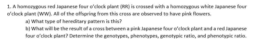 1. A homozygous red Japanese four o'clock plant (RR) is crossed with a homozygous white Japanese four
o'clock plant (WW). All of the offspring from this cross are observed to have pink flowers.
a) What type of hereditary pattern is this?
b) What will be the result of a cross between a pink Japanese four o'clock plant and a red Japanese
four o'clock plant? Determine the genotypes, phenotypes, genotypic ratio, and phenotypic ratio.
