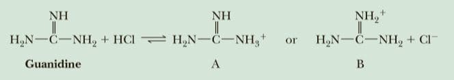 NH
NH
NH,+
H,N-C-NH, + HCI H,N-C-NH,+
H,N-C-NH, + CI-
or
Guanidine
A
B
