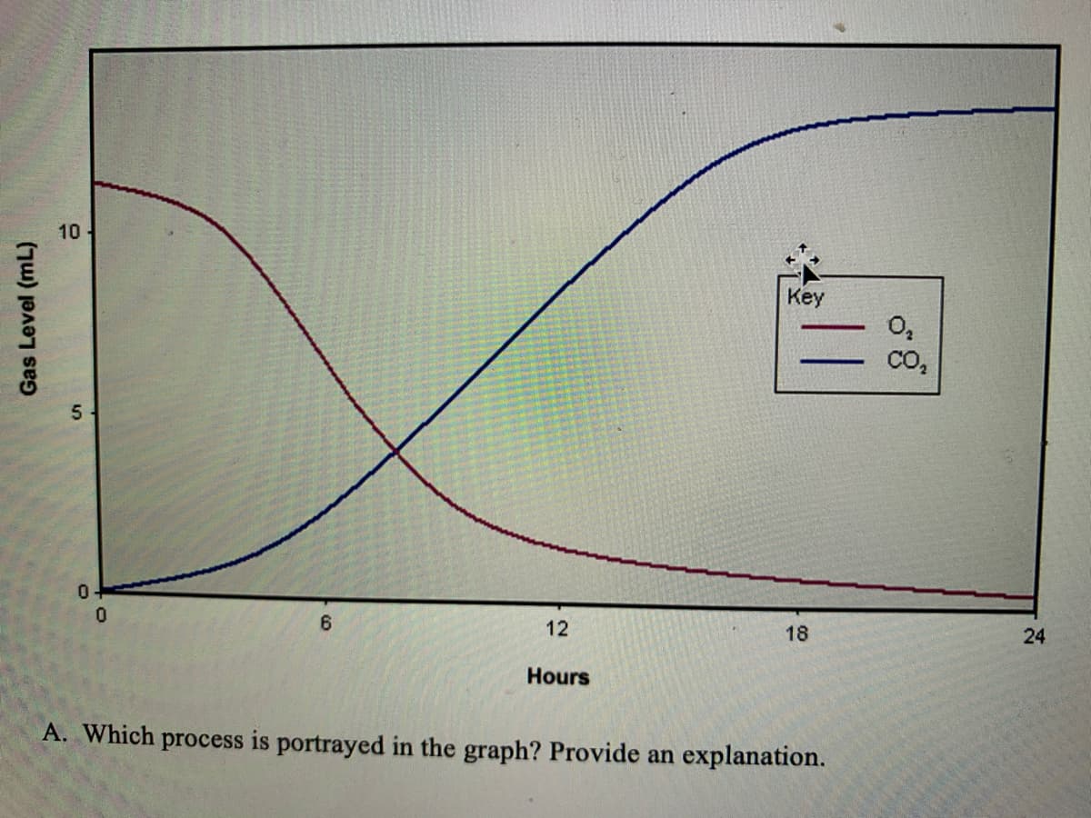 10
Key
O,
CO,
0.
6
12
18
24
Hours
A. Which process is portrayed in the graph? Provide an explanation.
Gas Level (mL)
