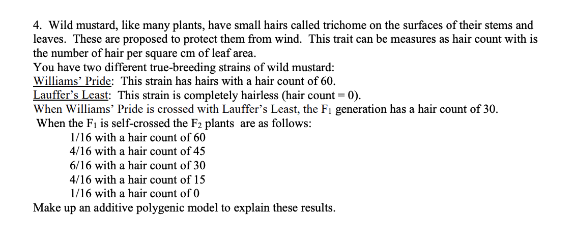 4. Wild mustard, like many plants, have small hairs called trichome on the surfaces of their stems and
leaves. These are proposed to protect them from wind. This trait can be measures as hair count with is
the number of hair per square cm of leaf area.
You have two different true-breeding strains of wild mustard:
Williams' Pride: This strain has hairs with a hair count of 60.
Lauffer's Least: This strain is completely hairless (hair count = 0).
When Williams' Pride is crossed with Lauffer's Least, the F₁ generation has a hair count of 30.
When the F₁ is self-crossed the F2 plants are as follows:
1/16 with a hair count of 60
4/16 with a hair count of 45
6/16 with a hair count of 30
4/16 with a hair count of 15
1/16 with a hair count of 0
Make up an additive polygenic model to explain these results.