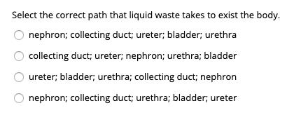 Select the correct path that liquid waste takes to exist the body.
nephron; collecting duct; ureter; bladder; urethra
collecting duct; ureter; nephron; urethra; bladder
ureter; bladder; urethra; collecting duct; nephron
nephron; collecting duct; urethra; bladder; ureter
