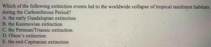 Which of the following extinction events led to the worldwide collapse of tropical rainforest habitats
during the Carboniferous Period?
A. the early Guadalupian extinction
B. the Kasimovian extinction
C. the Permian/Triassic extinction
D. Olson's extinction
E. the end-Capitanian extinction
