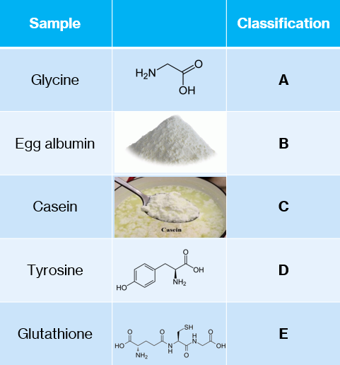 Sample
Classification
H2N
Glycine
A
ÓH
Egg albumin
B
Casein
C
Casein
Tyrosine
D
HO
NH2
но
SH
Glutathione
E
но
он
NH2
