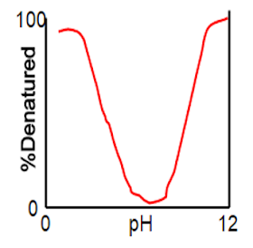 100
pH
12
%Denatured
