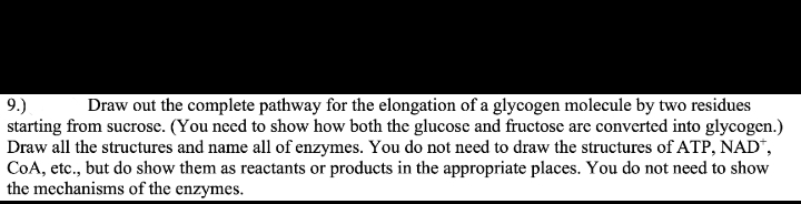 Draw out the complete pathway for the elongation of a glycogen molecule by two residues
9.)
starting from sucrose. (You need to show how both the glucose and fructose are converted into glycogen.)
Draw all the structures and name all of enzymes. You do not need to draw the structures of ATP, NAD*,
CoA, etc., but do show them as reactants or products in the appropriate places. You do not need to show
the mechanisms of the enzymes.
