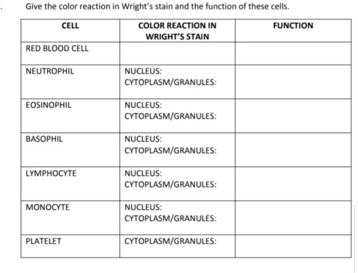 Give the color reaction in Wright's stain and the function of these cells.
CELL
COLOR REACTION IN
FUNCTION
WRIGHT'S STAIN
RED BLOOD CELL
NEUTROPHIL
NUCLEUS:
CYTOPLASM/GRANULES:
EOSINOPHIL
NUCLEUS:
CYTOPLASM/GRANULES:
BASOPHIL
NUCLEUS:
CYTOPLASM/GRANULES:
LYMPHOCYTE
NUCLEUS:
CYTOPLASM/GRANULES:
MONOCYTE
NUCLEUS:
CYTOPLASM/GRANULES:
PLATELET
CYTOPLASM/GRANULES:
