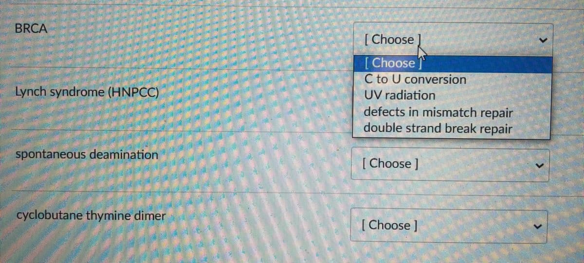 BRCA
[Choose
[Choose
C to U conversion
UV radiation
defects in mismatch repair
double strand break repair
Lynch syndrome (HNPCC)
spontaneous deamination
[Choose ]
cyclobutane thymine dimer
[ Choose ]
