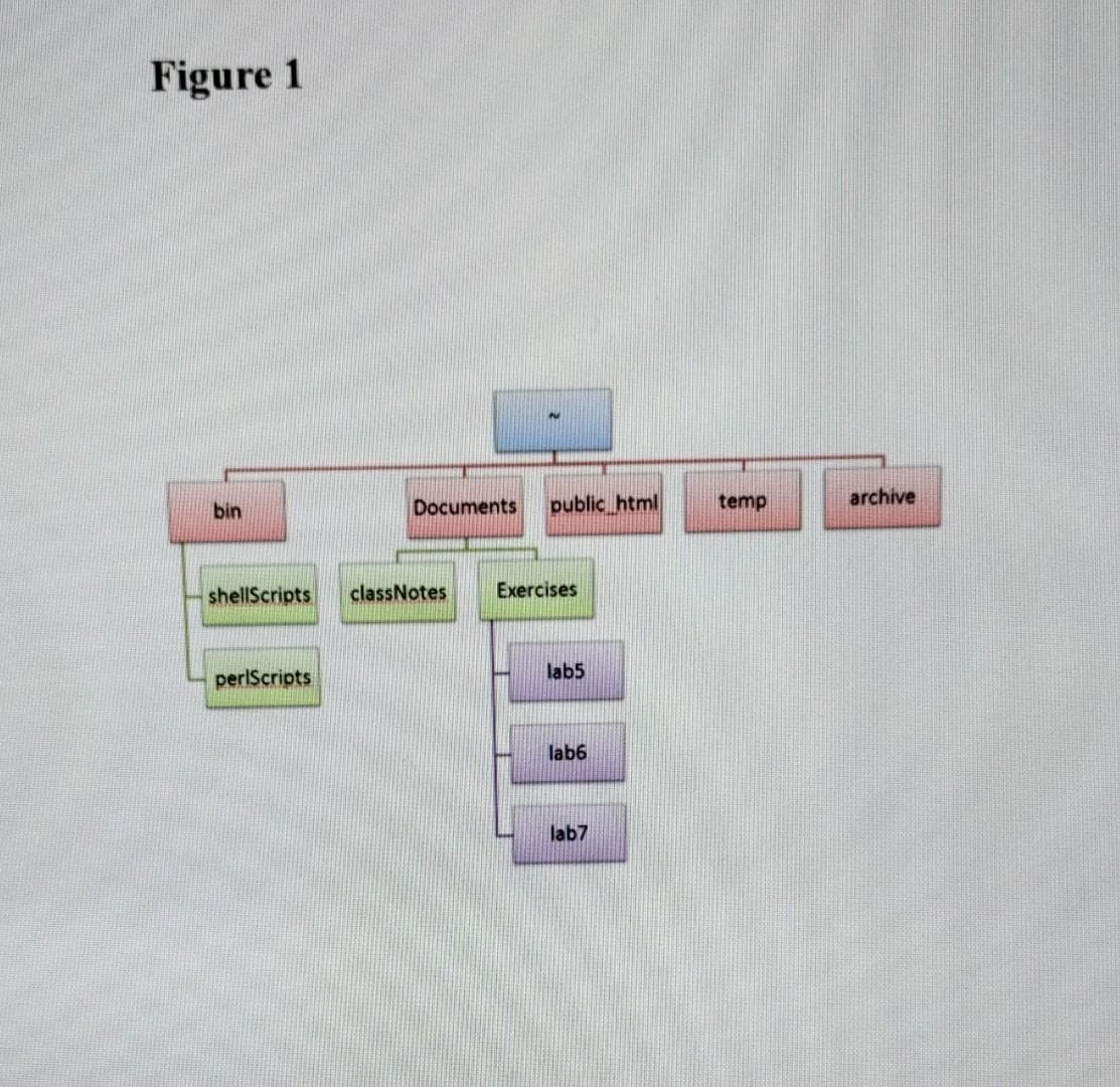 Figure 1
public_html
archive
bin
Documents
temp
shellScripts
classNotes
Exercises
perlScripts
lab5
lab6
lab7
