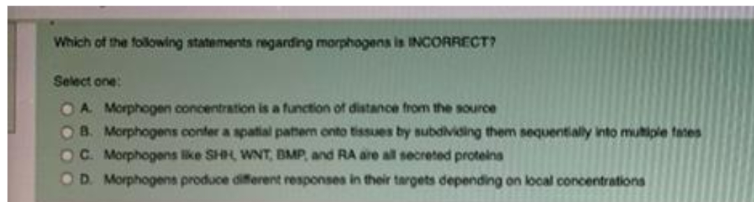 Which of the folowing statements regarding morphogens is INCORRECT?
Select one:
OA Morphogen concentration is a function of distance from the source
OB. Morphogens confer a spatial patem onto tissues by subdividing them sequentially into muhiple tates
Oc Morphogens like SHH, WNT, BMP, and RA are all secreted proteins
OD. Morphogens produce diferent responses in their targets depending on local concentrations
