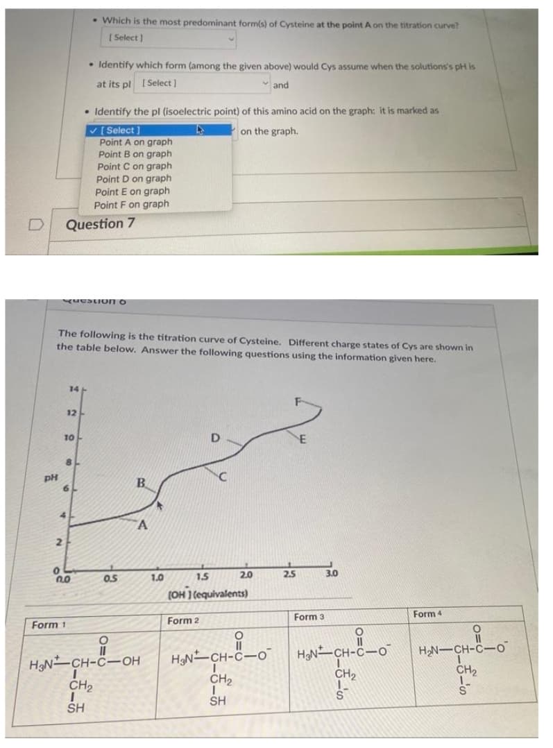 D
. Which is the most predominant form(s) of Cysteine a the point A on the titration curve?
[Select]
• Identify which form (among the given above) would Cys assume when the solutions's pH is
at its pl [Select]
and
• Identify the pl (isoelectric point) of this amino acid on the graph: it is marked as
✔[Select]
on the graph.
Point A on graph
Point B on graph
Point C on graph
Point D on graph
Point E on graph
Point F on graph
Question 7
Question 6
The following is the titration curve of Cysteine. Different charge states of Cys are shown in
the table below. Answer the following questions using the information given here.
14
12-
D
B
A
3.0
Form 4
O
11
H₂N-CH-C-0
1
CH₂
pH
10
8
6
4
0
2
2.0
0.5
Form 1
O
H₂NCH-C-OH
I
CH₂
I
SH
1.0
1.5
2.0
(OH) (equivalents)
Form 2
H3N CH-C-0
CH₂
1
SH
2.5
Form 3
H-8-0²
H₂N CH-C-O
I
CH₂