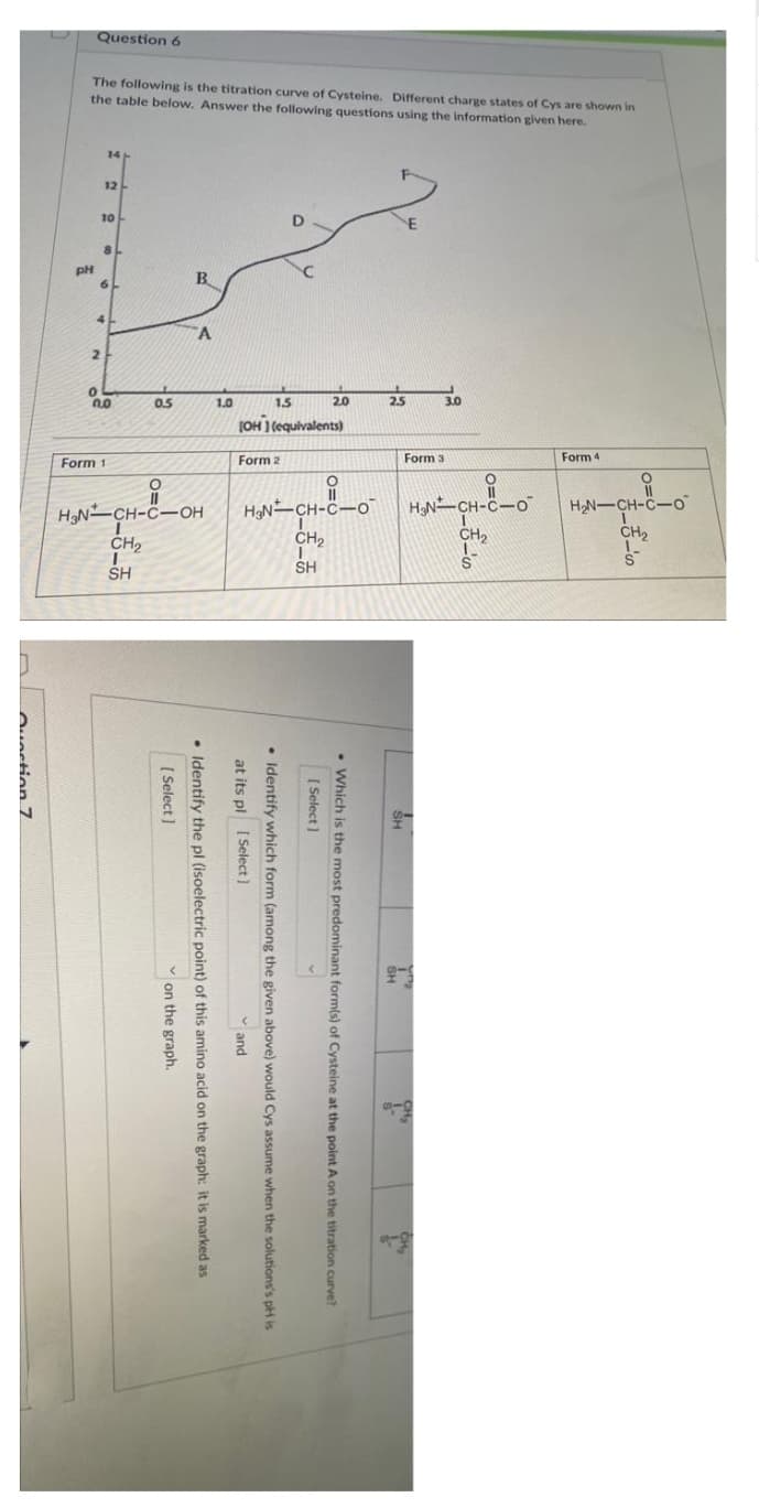 The following is the titration curve of Cysteine. Different charge states of Cys are shown in
the table below. Answer the following questions using the information given here.
B
A
Question 6
ů
9
8
Hd
20
21
0€ 52
01
Form 4
Form 3
10
O=O
-0--8--
20
(OH) (equivalents)
H&N=CH-C-0
Form 2
--
1-6-5
05
H₂N-CH-C-OH
Form 1
-6-5
SH
SH
. Which is the most predominant form(s) of Cysteine at the point A on the titration curve?
[Select]
• Identify which form (among the given above) would Cys assume when the solutions's pH is
at its pl
[Select]
and
• Identify the pl (isoelectric point) of this amino acid on the graph: it is marked as
[Select]
on the graph.
Question 7