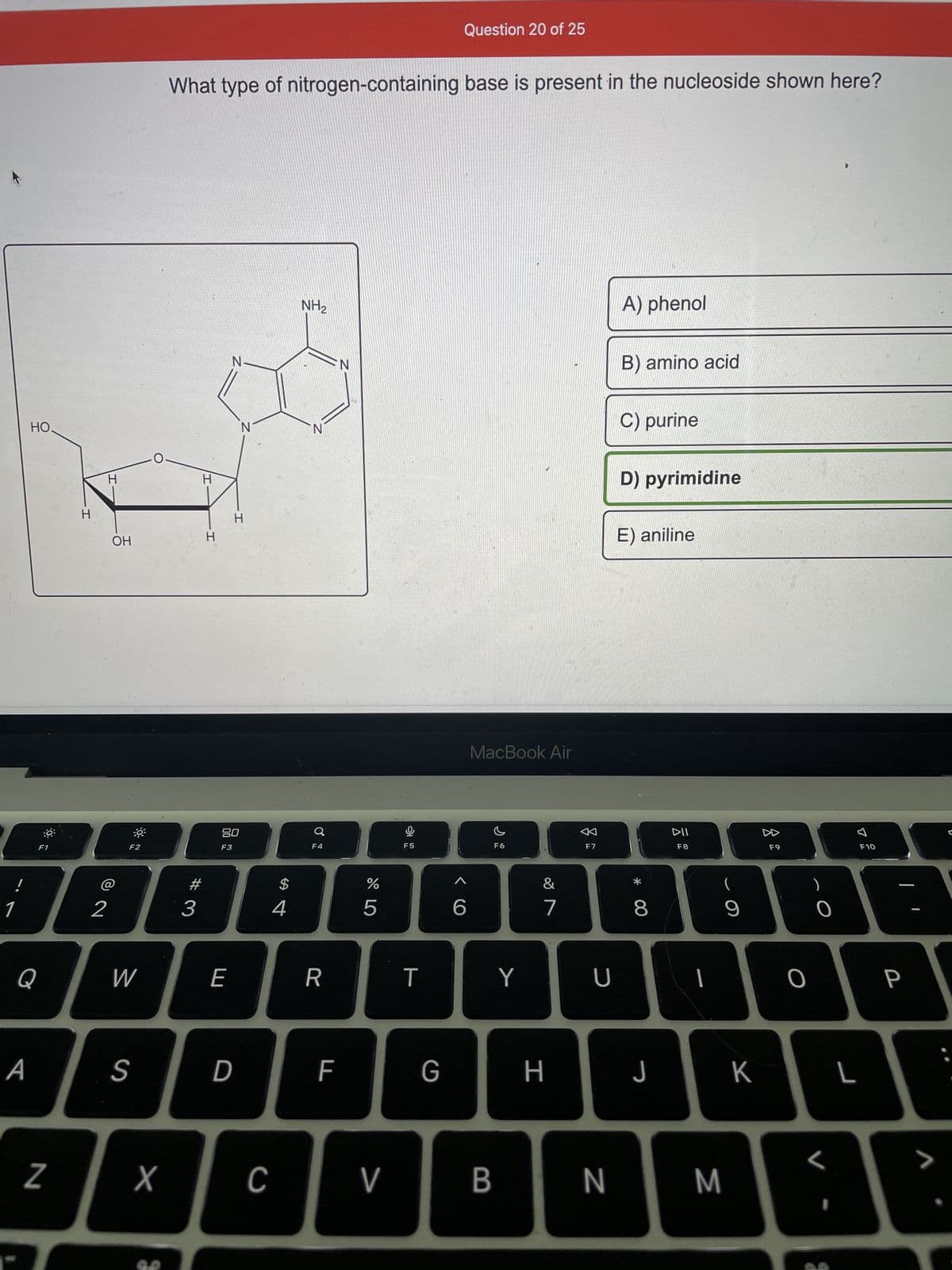 !
HO.
Q
A
F1
N
H
H
OH
@
2
0³-
F2
W
S
X
S
What type of nitrogen-containing base is present in the nucleoside shown here?
H
#3
3
I
H
80
F3
E
D
C
$
4
NH₂
N
F4
R
F
N
%
67 5⁰
5
V
F5
T
Question 20 of 25
G
<CO
6
MacBook Air
F6
B
Y
&
7
H
0
F7
U
N
A) phenol
B) amino acid
C) purine
D) pyrimidine
E) aniline
* 00
8
DII
F8
J
C
9
M
K
F9
0
O
L
F10
P
>