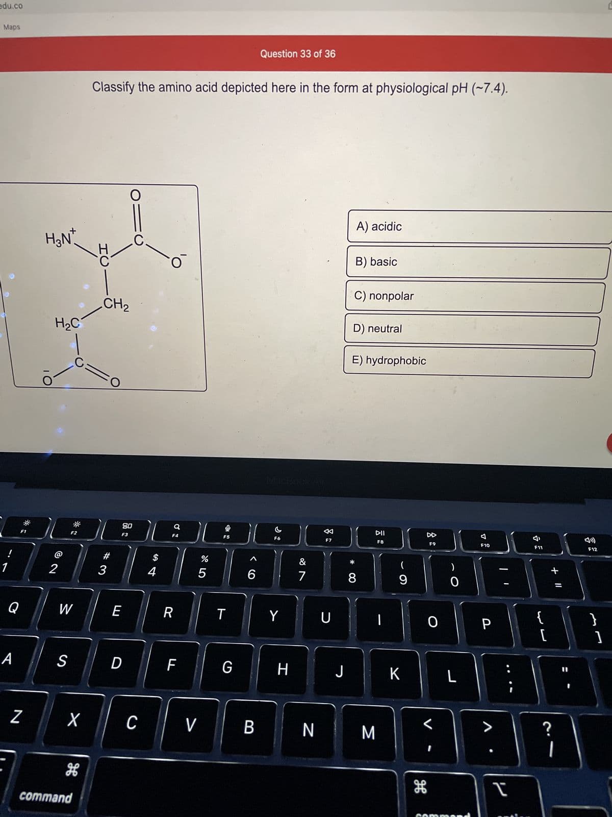 edu.co
Maps
!
F1
Q
A
Z
H₂N
H₂C
2
F2
W
S
X
H
command
Classify the amino acid depicted here in the form at physiological pH (~7.4).
HC
생
CH₂
#
3
E
80
F3
D
C
$
4
Q
F4
R
F
%
17 5⁰
V
5
F5
T
G
<CO
6
Question 33 of 36
B
MacBook Air
%
F6
Y
H
&
7
F7
U
J
A) acidic
B) basic
C) nonpolar
D) neutral
* 00
E) hydrophobic
8
DII
F8
N M
(
9
K
H
F9
O
F10
P
L :
I
F11
{
~~
[
11 +
?
1
F12
}
]