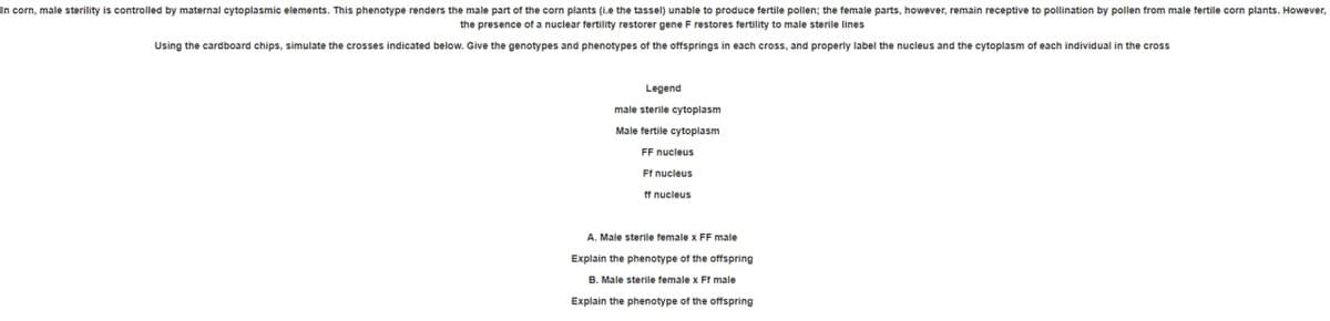In corn, male sterility is controlled by maternal cytoplasmic elements. This phenotype renders the male part of the corn plants (ie the tassel) unable to produce fertile pollen; the female parts, however, remain receptive to pollination by pollen from male fertile corn plants. However,
the presence of a nuclear fertility restorer gene F restores fertility to male sterile lines
Using the cardboard chips, simulate the crosses indicated below. Give the genotypes and phenotypes of the offsprings in each cross, and properly label the nucleus and the cytoplasm of each individual in the cross
Legend
male sterile cytoplasm
Male fertile cytoplasm
FF nucleus
Ff nucleus
ff nucleus
A. Male sterile female x FF male
Explain the phenotype of the offspring
B. Male sterile female x Ff male
Explain the phenotype of the offspring