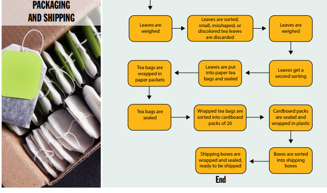 PACKAGING
AND SHIPPING
Leaves are
weighed
Leaves are sorted;
small, misshaped, or
discolored tea leaves
are discarded
Leaves are
weighed
Tea bags are
wrapped in
paper packets
Leaves are put
into paper tea
bags and sealed
Leaves get a
second sorting
Tea bags are
sealed
Wrapped tea bags are
sorted into cardboard
packs of 20
Cardboard packs
are sealed and
wrapped in plastic
Shipping boxes are
wrapped and sealed,
ready to be shipped
End
Boxes are sorted
into shipping
boxes