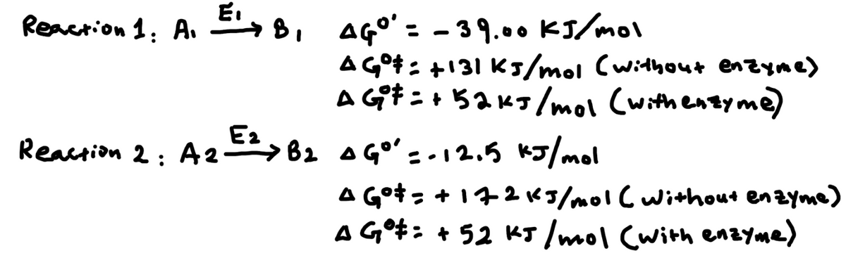 Ei
Reaction 1: A₁ EIB, AGº' = -39.00 kJ/mol
AGO‡: +131 KJ/mol (without enzyme)
AG‡=+52kJ/mol (with enzyme)
Reaction 2: A2 ===> B₂ AG₁¹ = -12.5 kJ/mol
E₂ →
* Gº# = +17-2 165/mol ( Without enzyme)
A Gº‡: + 52 KJ/mol (with enzyme)