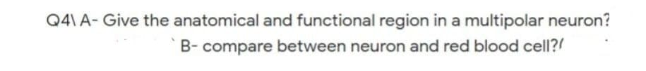 Q4\ A- Give the anatomical and functional region in a multipolar neuron?
B- compare between neuron and red blood cell?!
