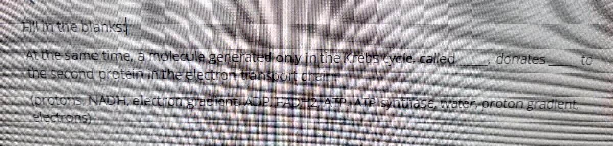 Fill in the blanks
At the same time, a molecule generated on yin the Krebs cycle, called
the second protein in the electron transport chan
donates
to
(protons. NADH, electron gradient, ADP, FADH2, ATP ATP synthase, water, proton gradient
electrons)
