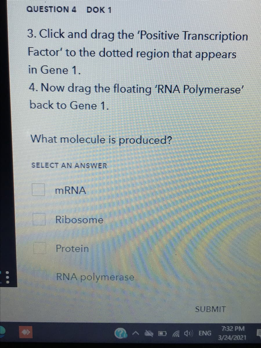 QUESTION 4
DOK 1
3. Click and drag the 'Positive Transcription
Factor' to the dotted region that appears
in Gene 1.
4. Now drag the floating 'RNA Polymerase'
back to Gene 1.
What molecule is produced?
SELECT AN ANSWER
MRNA
Ribosome
Protein
RNA polymerase
SUBMIT
7:32 PM
Ca ENG
3/24/2021
