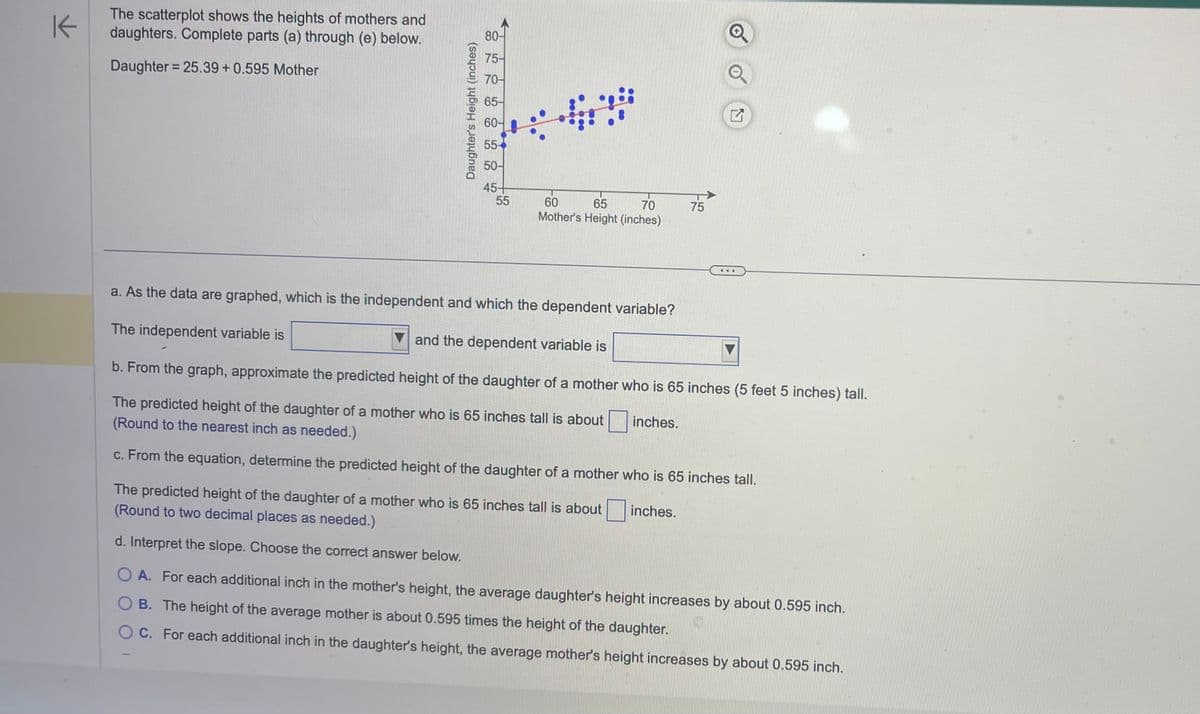 K
The scatterplot shows the heights of mothers and
daughters. Complete parts (a) through (e) below.
Daughter = 25.39 +0.595 Mother
Daughter's Height (inches)
80-
75-
70-
65-
60-
55-
50-
45+
55
60 65
70
Mother's Height (inches)
a. As the data are graphed, which is the independent and which the dependent variable?
The independent variable is
and the dependent variable is
b. From the graph, approximate the predicted height of the daughter of a mother who is 65 inches (5 feet 5 inches) tall.
The predicted height of the daughter of a mother who is 65 inches tall is about
(Round to the nearest inch as needed.)
c. From the equation, determine the predicted height of the daughter of a mother who is 65 inches tall.
The predicted height of the daughter of a mother who is 65 inches tall is about
(Round to two decimal places as needed.)
d. Interpret the slope. Choose the correct answer below.
inches.
75
inches.
OA. For each additional inch in the mother's height, the average daughter's height increases by about 0.595 inch.
OB. The height of the average mother is about 0.595 times the height of the daughter.
OC. For each additional inch in the daughter's height, the average mother's height increases by about 0.595 inch.