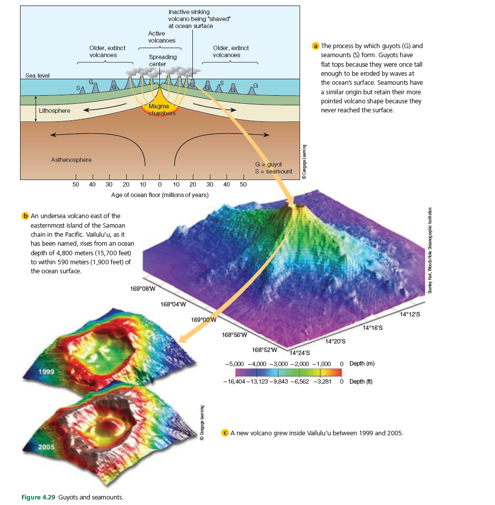 Inactive sinking
volcano being "shaved"
at ocean surface
Active
volcanoes
Older, extinct
volcanoes
Older, extinct
volcanoes
The process by which guyots (G) and
seamounts (S) form. Guyots have
Spreading
center
flat tops because they were once tall
enough to be eroded by waves at
the ocean's surface. Seamounts have
Sea level
a similar origin but retain their more
pointed volcano shape because they
Magma
chambers
Lithosphere
never reached the surface.
Asthenosphere
G = guyot
S= seamount
50
40
30
20
10
10
20 30 40
50
Age of ocean floor (millions of years)
b An undersea volcano east of the
easternmost island of the Samoan
chain in the Pacific. Vailulu'u, as it
has been named, rises from an ocean
depth of 4,800 meters (15,700 feet)
to within 590 meters (1,900 feet) of
the ocean surface.
169°08W
168°04'W
14°12'S
169°00'W
14°16'S
168°56'W
14°20'S
168°52W
14°24'S
-5,000 -4,000 -3,000 -2,000 -1,000
O Depth (m)
1999
- 16,404 –13,123 -9,843 -6,562 -3,281
O Depth (it)
CA new volcano grew inside Vailulu'u between 1999 and 2005.
2005
Figure 4.29 Guyots and seamounts.
Stanlay Hart, Woods Hole Ocsanog aph
