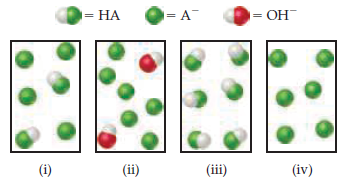 = HA
|= OH
(i)
(ii)
(iii)
(iv)
