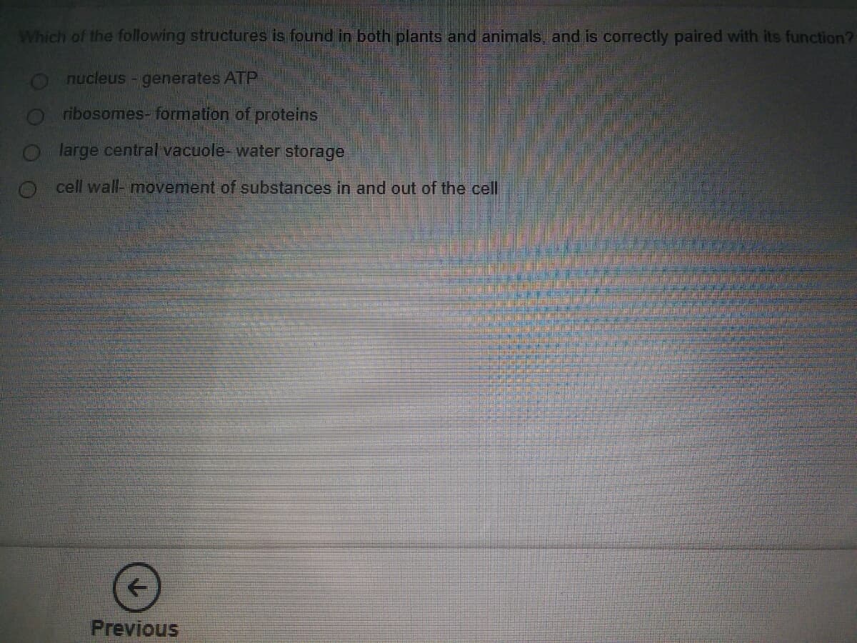 Which of the following structures is found in both plants and animals, and is correctly paired with its function?
nucleus- generates ATP
ribosomes- formation of proteins
large central vacuole-water storage
O cell wall- movement of substances in and out of the cell
Previous
