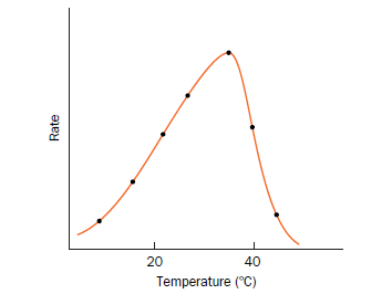 20
40
Temperature (°C)
Rate
