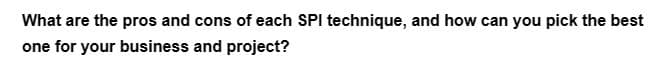 What are the pros and cons of each SPI technique, and how can you pick the best
one for your business and project?