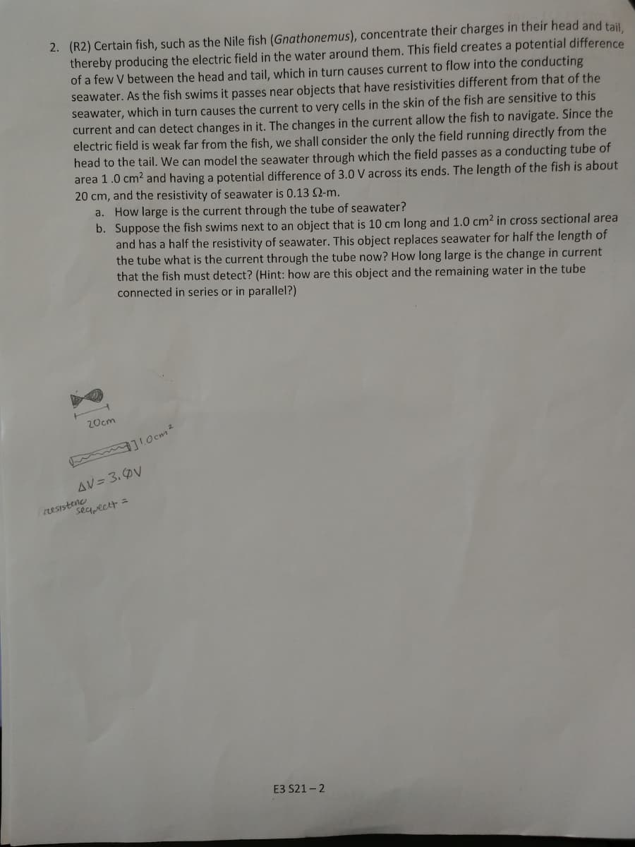 2. (R2) Certain fish, such as the Nile fish (Gnathonemus), concentrate their charges in their head and tail
thereby producing the electric field in the water around them. This field creates a potential difference
of a few V between the head and tail, which in turn causes current to flow into the conducting
seawater. As the fish swims it passes near objects that have resistivities different from that of the
seawater, which in turn causes the current to very cells in the skin of the fish are sensitive to this
current and can detect changes in it. The changes in the current allow the fish to navigate. Since the
electric field is weak far from the fish, we shall consider the only the field running directly from the
head to the tail. We can model the seawater through which the field passes as a conducting tube of
area 1.0 cm? and having a potential difference of 3.0 V across its ends. The length of the fish is about
20 cm, and the resistivity of seawater is 0.13 Q-m.
a. How large is the current through the tube of seawater?
b. Suppose the fish swims next to an object that is 10 cm long and 1.0 cm² in cross sectional area
and has a half the resistivity of seawater. This object replaces seawater for half the length of
the tube what is the current through the tube now? How long large is the change in current
that the fish must detect? (Hint: how are this object and the remaining water in the tube
connected in series or in parallel?)
20cm
AV= 3.ØV
resistenc
seqpectt =
E3 S21 - 2
