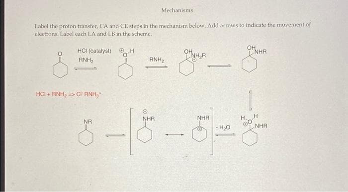 Mechanisms
Label the proton transfer, CA and CE steps in the mechanism below. Add arrows to indicate the movement of
electrons. Label each LA and LB in the scheme.
HCI (catalyst)
OH
NHR
OH
NH,R
RNH2
RNH2
HCI + RNH, => CI RNH,*
NHR
NHR
NR
- H20
NHR
