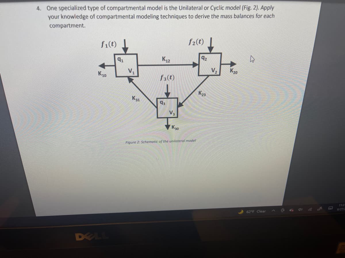 4. One specialized type of compartmental model is the Unilateral or Cyclic model (Fig. 2). Apply
your knowledge of compartmental modeling techniques to derive the mass balances for each
compartment.
f1(t)
f2(t)
91
K12
92
K10
V,
V,
K20
f3(t)
K23
K31
93
V3
K30
Figure 2: Schematic of the unilateral model
71:3
9/27/
62°F Clear
DELL
