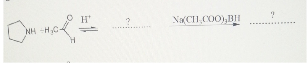 CNH
NH +HẠC.
!!
H
?
Na(CH3COO), BH
?