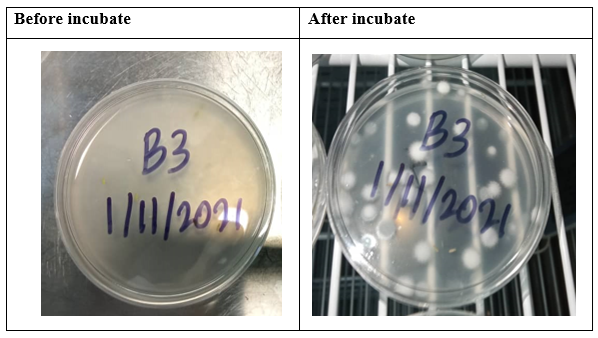 After incubate
Before incubate
33
B3
