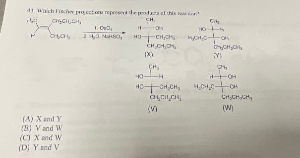 43. Which Fischer projections represent the products of this reaction?
CH₂
H₂C
CH₂CH₂CH₂
H
CH₂CH₂
(A) X and Y
(B) V and W
(C) X and W
(D) Y and V
1. 0504
2. H₂O, NaHSO
H
HO
HO
HO
-OH
-CH₂CH₂
CH₂CH₂CH₂
(X)
CH₂
-H
-CH₂CH₂
CH₂CH₂CH₂
(V)
HO
H₂CH₂C
CH₂
OH
CH₂CH₂CH₂
(Y)
H
-H
CH3
H₂CH₂C-
-OH
-OH
CH₂CH₂CH₂
(W)