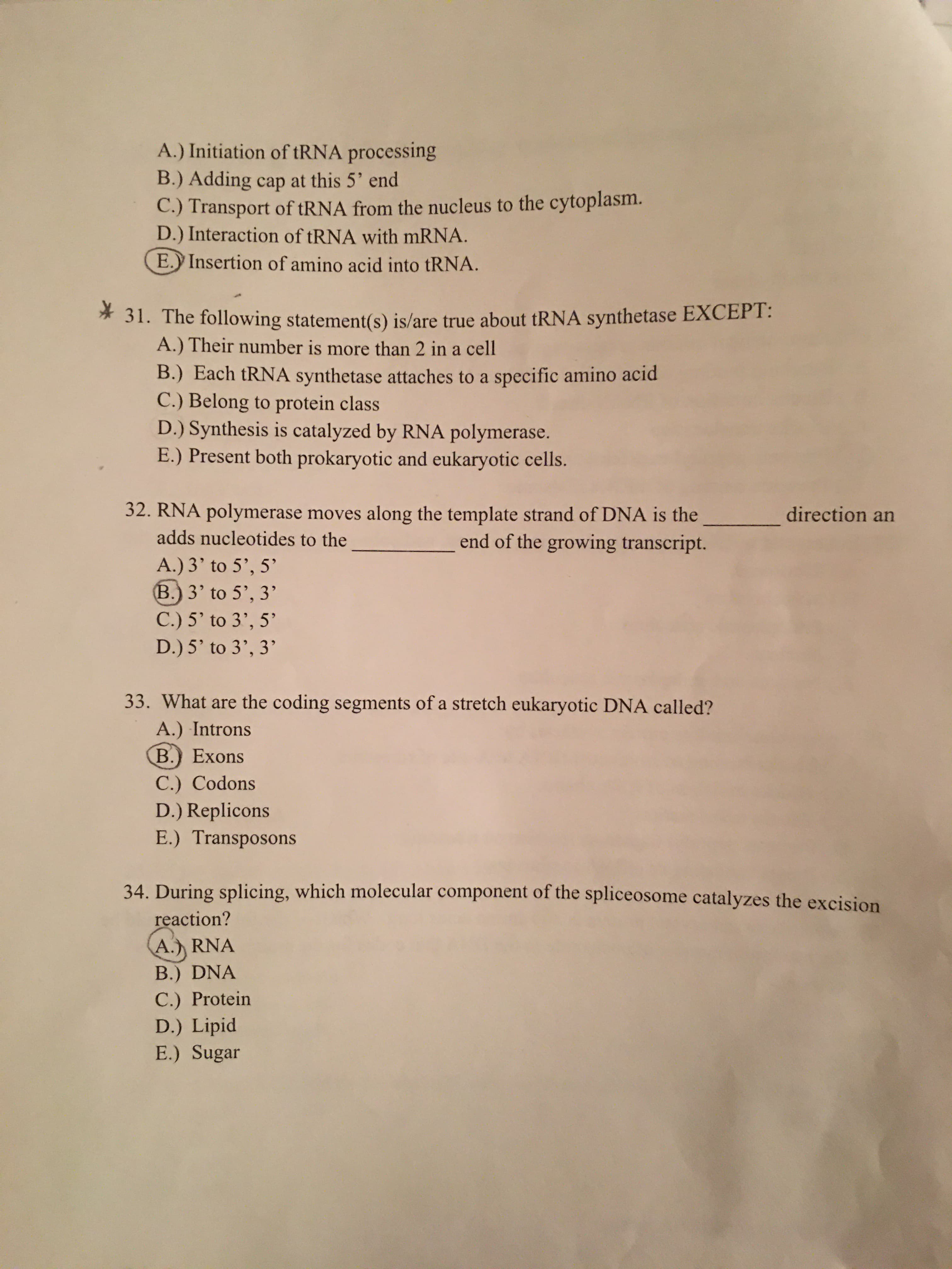 A.) Initiation of tRNA processing
B.) Adding cap at this 5' end
C.) Transport of tRNA from the nucleus to the cytoplasm.
D.) Interaction of tRNA with mRNA.
E.) Insertion of amino acid into TRNA.
* 31. The following statement(s) is/are true about tRNA synthetase EXCEPT:
A.) Their number is more than 2 in a cell
B.) Each tRNA synthetase attaches to a specific amino acid
C.) Belong to protein class
D.) Synthesis is catalyzed by RNA polymerase.
E.) Present both prokaryotic and eukaryotic cells.
32. RNA polymerase moves along the template strand of DNA is the
end of the growing transcript.
_direction an
adds nucleotides to the
A.) 3' to 5', 5'
B.) 3' to 5', 3'
C.) 5' to 3', 5'
D.) 5' to 3', 3'
33. What are the coding segments of a stretch eukaryotic DNA called?
A.) Introns
B.) Exons
C.) Codons
D.) Replicons
E.) Transposons
34. During splicing, which molecular component of the spliceosome catalyzes the excision
reaction?
A.) RNA
B.) DNA
C.) Protein
D.) Lipid
E.) Sugar
