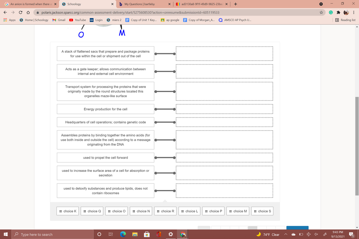 G An anion is formed when there a X
9 Schoology
b My Questions | bartleby
| ad3130a8-9f1f-49d9-9825-23be2 x +
A polaris.jackson.sparcc.org/common-assessment-delivery/start/5275608530?action=Donresume&submissionld=605119533
E Apps
S Home | Schoology
M Gmail
YouTube
HAC Login
S miers 2 = Copy of Unit 1 Key..
A ap google B Copy of Morgan_A..
AMSCO AP Psych U...
Reading list
A stack of flattened sacs that prepare and package proteins
for use within the cell or shipment out of the cell
Acts as a gate keeper; allows communication between
internal and external cell environment
Transport system for processing the proteins that were
originally made by the round structures located this
organelles maze-like surface
Energy production for the cell
Headquarters of cell operations; contains genetic code
Assembles proteins by binding together the amino acids (for
use both inside and outside the cell) according to a message
originating from the DNA
used to propel the cell forward
used to increase the surface area of a cell for absorption or
secretion
used to detoxify substances and produce lipids, does not
contain ribosomes
:: choice K
:: choice Q
:: choice O
:: choice N
:: choice R
:: choice L
:: choice P
:: choice M
:: choice S
9:43 PM
O Type here to search
74°F Clear
9/13/2021
...
