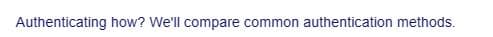 Authenticating how? We'll compare common authentication methods.