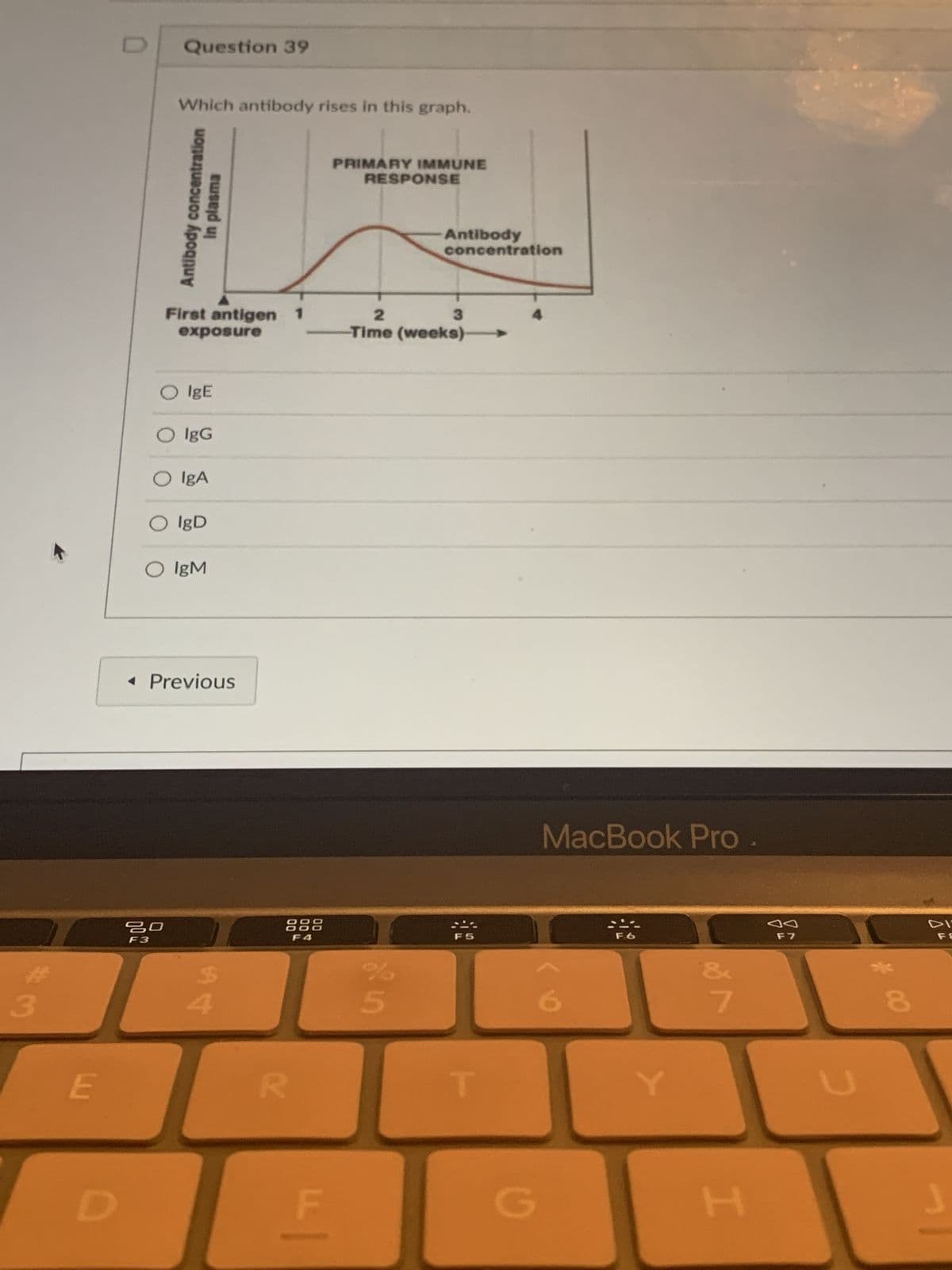 3
E
D
0
Question 39
Which antibody rises in this graph.
concentration
In plasma
Antibody
First antigen 1
exposure
O IgE
O lgG
80
F3
O IgA
O lgD
O IgM
◄ Previous
$
888
F4
20
F
PRIMARY IMMUNE
RESPONSE
Antibody
concentration
2
3
Time (weeks)
%
5
G
MacBook Pro
7
H
F7
8
J