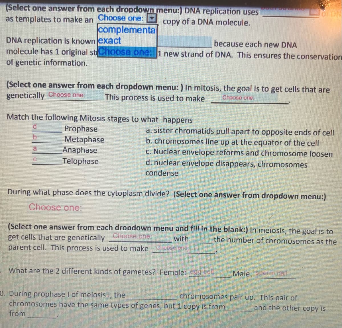 (Select one answer from each dropdown menu:) DNA replication uses
as templates to make an Choose one:
GAUDIe
copy of a DNA molecule.
complementa
DNA replication is known exact
molecule has 1 original stChoose one: 1 new strand of DNA. This ensures the conservation
of genetic information.
because each new DNA
(Select one answer from each dropdown menu: ) In mitosis, the goal is to get cells that are
genetically Choose one:
This process is used to make
Choose one:
Match the following Mitosis stages to what happens
Prophase
Metaphase
Anaphase
Telophase
a. sister chromatids pull apart to opposite ends of cell
b. chromosomes line up at the equator of the cell
c. Nuclear envelope reforms and chromosome loosen
d. nuclear envelope disappears, chromosoměs
a.
condense
During what phase does the cytoplasm divide? (Select one answer from dropdown menu:)
Choose one:
(Select one answer from each dropdown menu and fill in the blank:) In meiosis, the goal is to
get cells that are genetically Choose one,
parent cell. This process is used to make
with
the number of chromosomes as the
Choose one:
What are the 2 different kinds of gametes? Female: egg cell
Male:perm cel
0. During prophase I of meiosis I, the
chromosomes have the same types of genes, but 1 copy is from
chromosomes pair up. This pair of
and the other copy is
from
