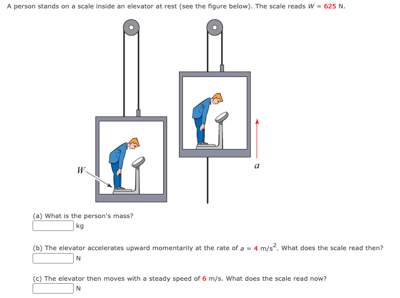 A person stands on a scale inside an elevator at rest (see the figure below). The scale reads W = 625 N.
a
W
(a) What is the person's mass?
kg
(b) The elevator accelerates upward momentarily at the rate of a = 4 m/s?. What does the scale read then?
N
(c) The elevator then moves with a steady speed of 6 m/s. What does the scale read now?
