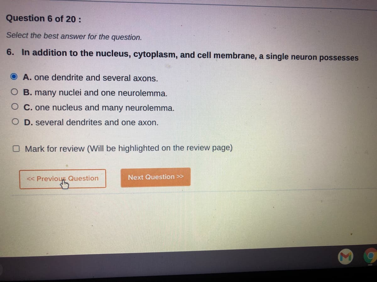 Question 6 of 20 :
Select the best answer for the question.
6. In addition to the nucleus, cytoplasm, and cell membrane, a single neuron possesses
A. one dendrite and several axons.
B. many nuclei and one neurolemma.
C. one nucleus and many neurolemma.
D. several dendrites and one axon.
O Mark for review (Will be highlighted on the review page)
Next Question >>
« Previous Question
