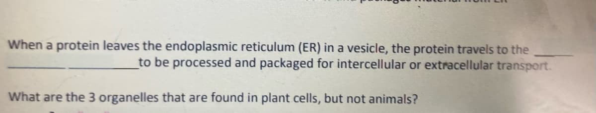 When a protein leaves the endoplasmic reticulum (ER) in a vesicle, the protein travels to the
to be processed and packaged for intercellular or extracellular transport.
What are the 3 organelles that are found in plant cells, but not animals?
