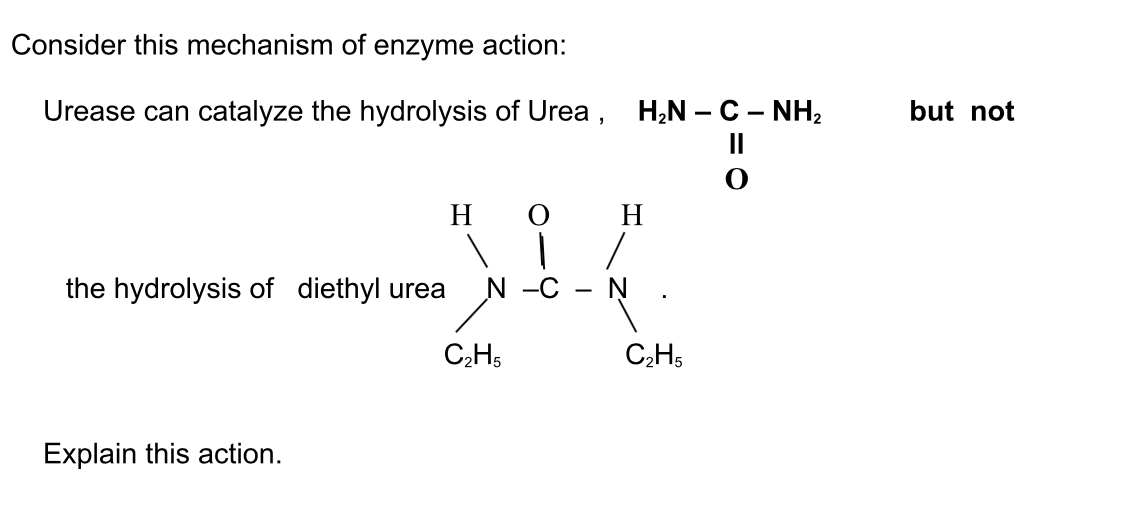 Consider this mechanism of enzyme action:
Urease can catalyze the hydrolysis of Urea, H,N – C – NH,
II
but not
H
H
the hydrolysis of diethyl urea
N -C -
C;H5
C2H5
Explain this action.
